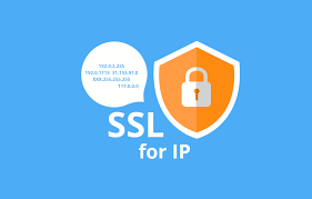 Answers to 8 Frequently Asked Questions about IP SSL Certificates